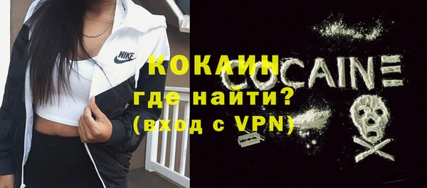 ECSTASY Горняк