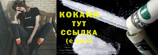 ECSTASY Горняк