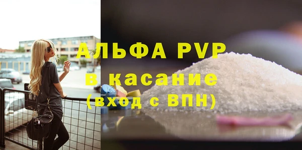 ECSTASY Горняк