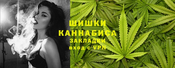 ECSTASY Горняк