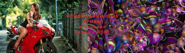 ECSTASY Горняк