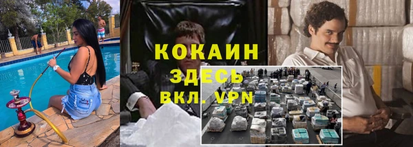 ECSTASY Горняк