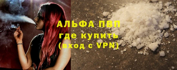 ECSTASY Горняк