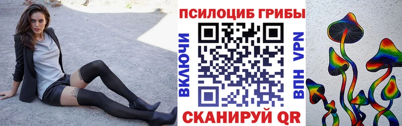 Галлюциногенные грибы Psilocybe купить shop наркотические препараты Мценск