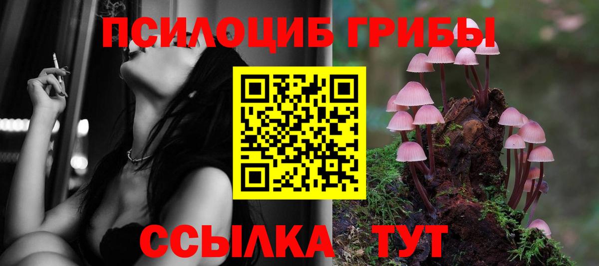Мценск  Псилоцибиновые грибы Magic Shrooms  Псилоцибиновые грибы ЛСД  Вход с VPN 
