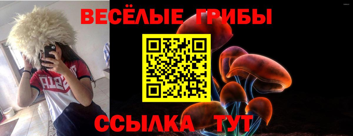 Псилоцибиновые грибы MAGIC MUSHROOMS Мценск